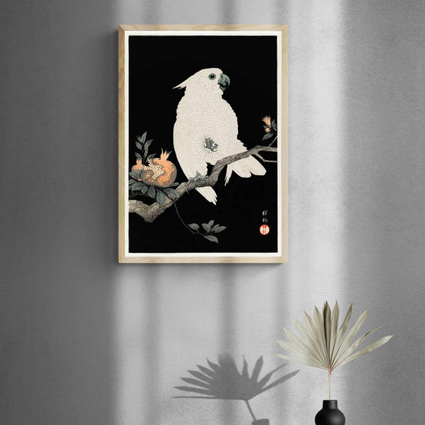 Cockatoo with Pomagranate Art Print