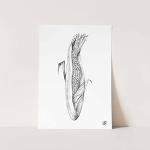 Corn by Jenna Art Print
