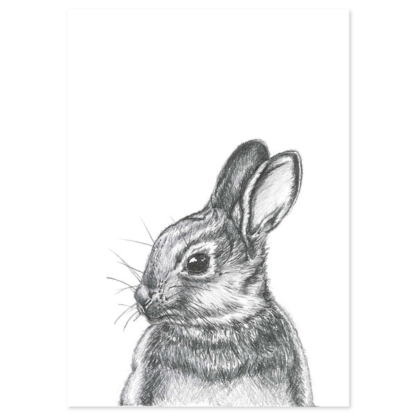Cottontail by Lor Art Print