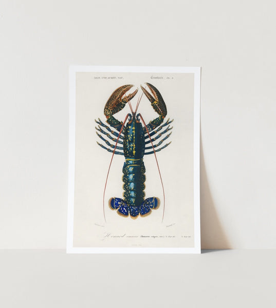 Crimson Crayfish Art Print