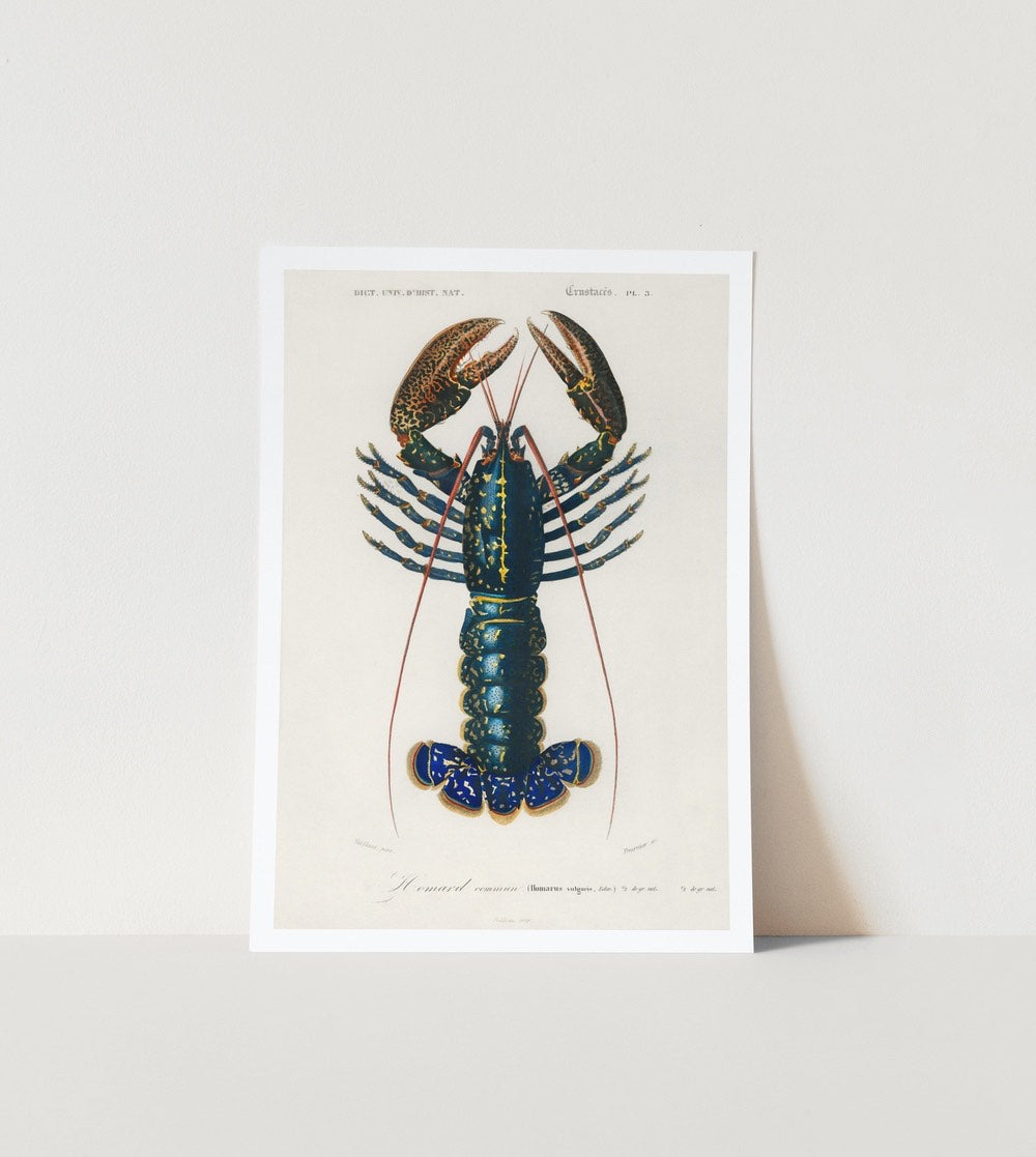 Crimson Crayfish Art Print