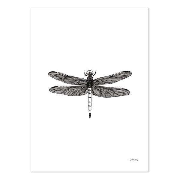 Dragonfly by JMB Art Print