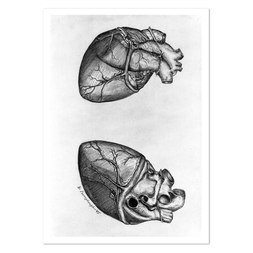 Drawing of a heart Art Print