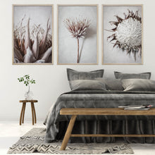 Load image into Gallery viewer, Dried King by Sonjé Art Print