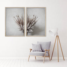 Load image into Gallery viewer, Dried Protea Profile by Sonjé Art Print