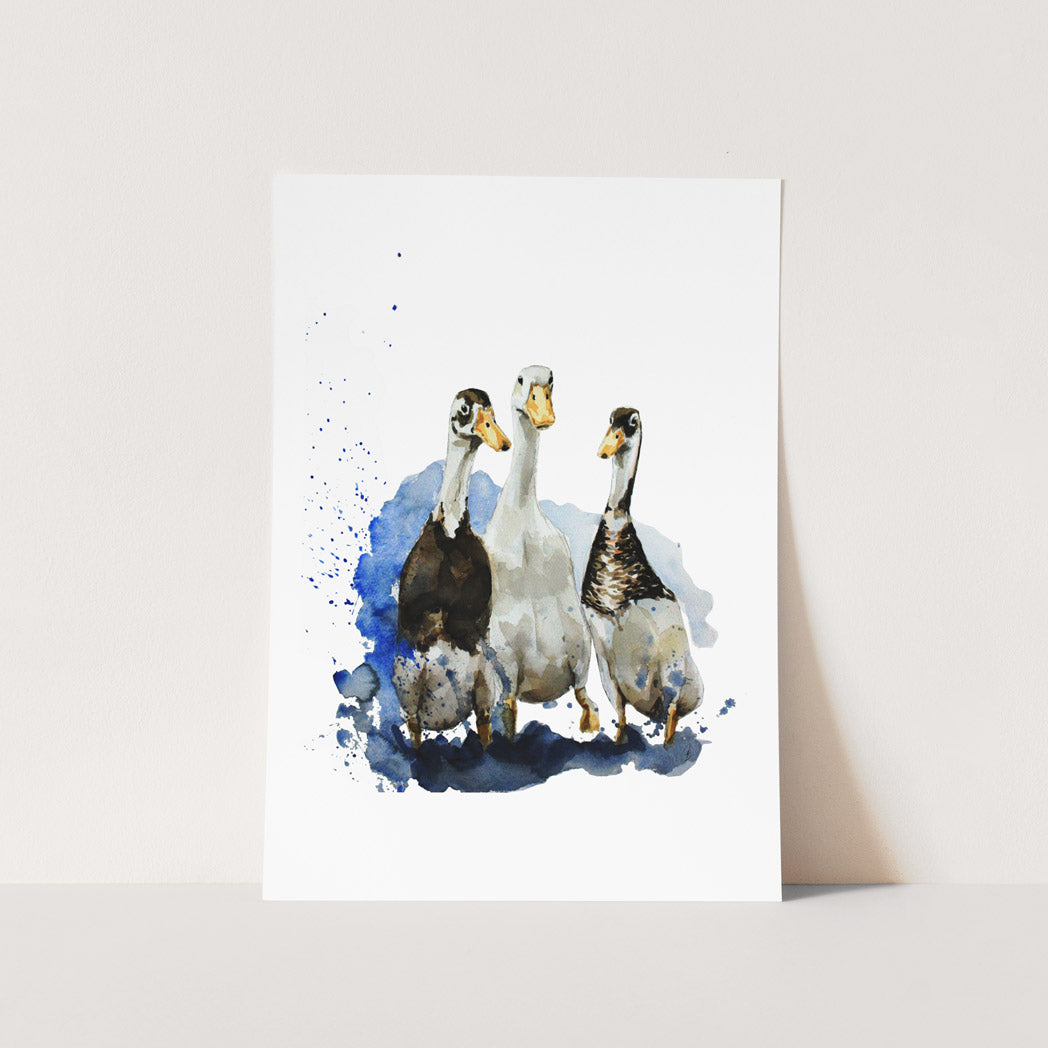 Ducks Art Print
