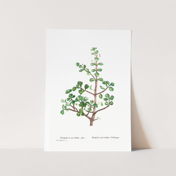 Elephant Bush Art Print