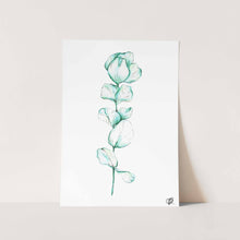 Load image into Gallery viewer, Eucalyptus by Jenna Art Print