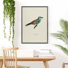Load image into Gallery viewer, European Roller Art Print