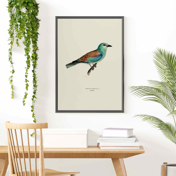 European Roller Art Print