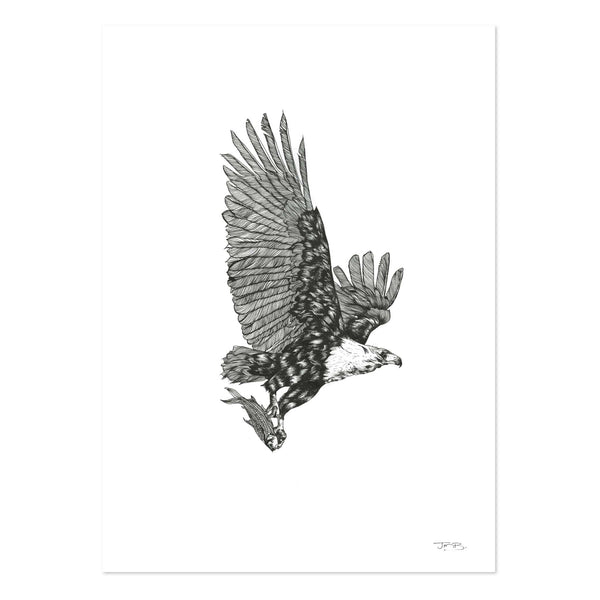 Fish Eagle by JMB Art Print
