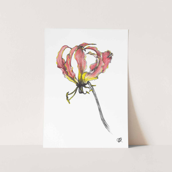 Flame Lily  by Jenna Art Print