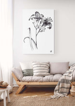 Load image into Gallery viewer, 2 Day Lilies Jenna Art Print