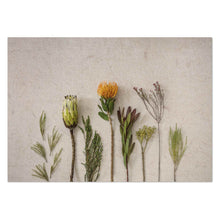 Load image into Gallery viewer, Fynbos Garden by Sonjé Art Print