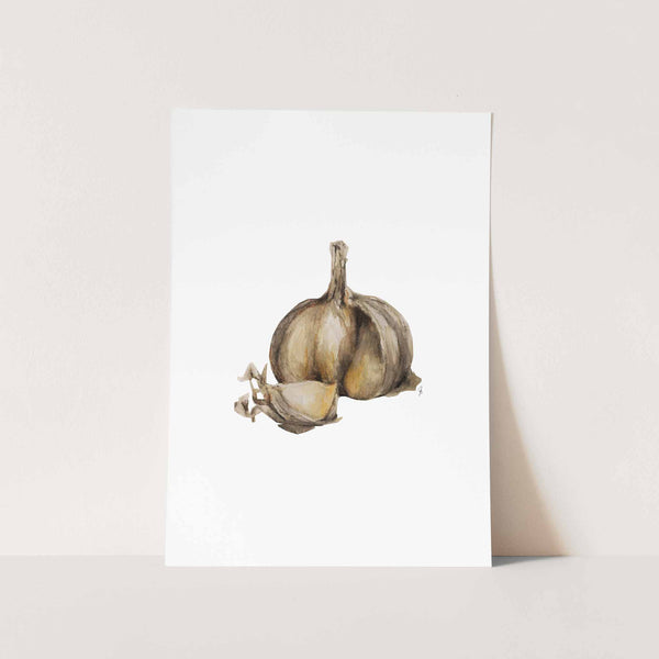 Garlic Art Print