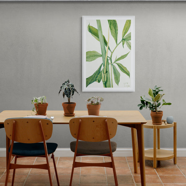 Greendragon Arisaema Dracontium Art Print