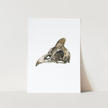 Guinea Fowl Skull by Mareli Art Print