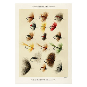 Hackles Art Print