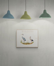 Load image into Gallery viewer, Heron &amp; Stork by Joris Hoefnagel Art Print