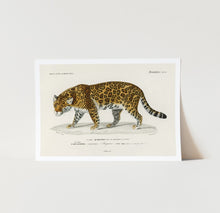 Load image into Gallery viewer, Jaguar Art Poster