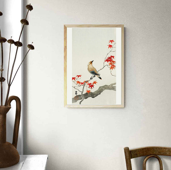 Japanese Plague Bird on Maple by Ohara Koson Art Print