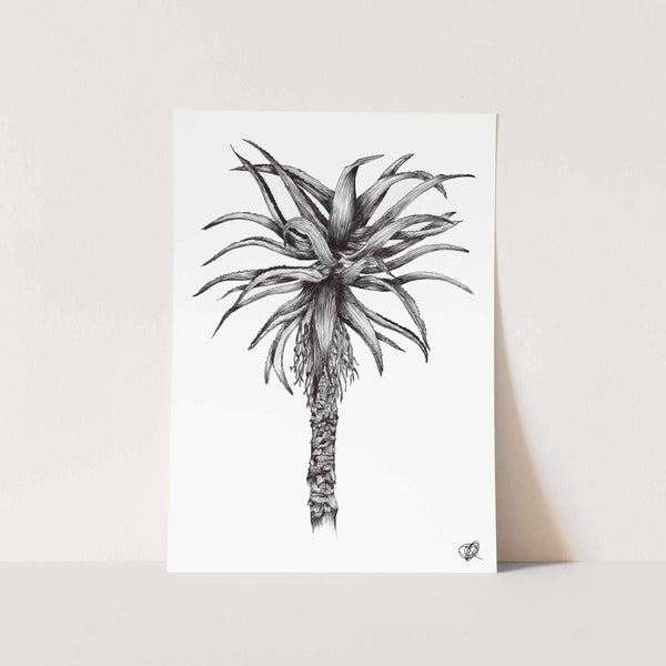 B & W Aloe by Jenna Art Print