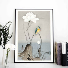 Load image into Gallery viewer, Kingfisher with Lotus Flower Art Print