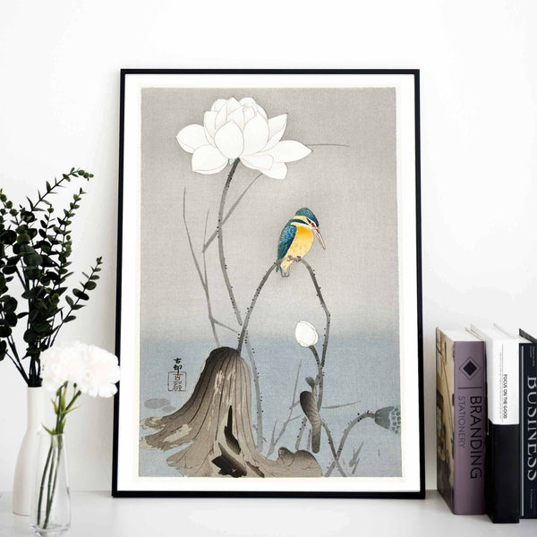 Kingfisher with Lotus Flower Art Print