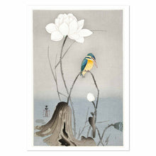 Load image into Gallery viewer, Kingfisher with Lotus Flower Art Print