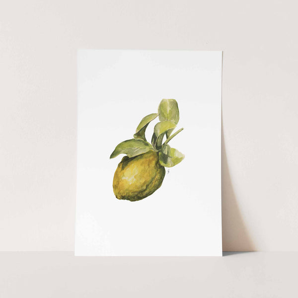 Lemon by Mareli Art Print