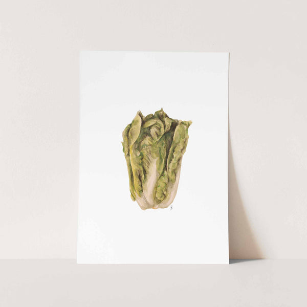 Lettuce Art Print