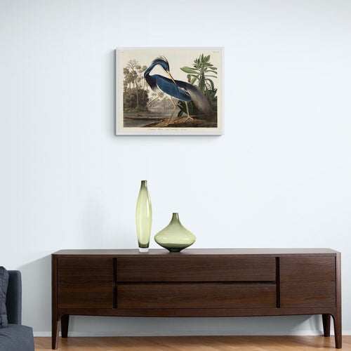 Louisiana Heron Art Print