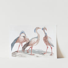 Load image into Gallery viewer, Miss Crane Birds Art Print
