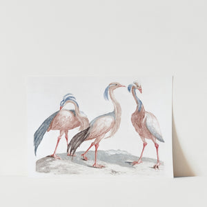 Miss Crane Birds Art Print