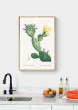 Load image into Gallery viewer, Aloe Opuntia Polyanthos Art Print