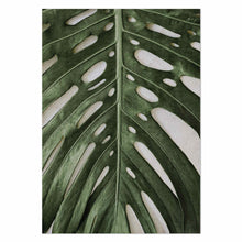 Load image into Gallery viewer, Monstera Zoom by Sonjé Art Print