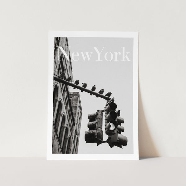 New York Vultures PFY Art Print