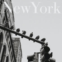 Load image into Gallery viewer, New York Vultures PFY Art Print