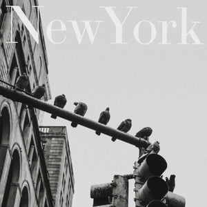 New York Vultures PFY Art Print