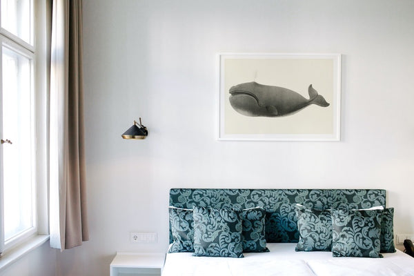 North Pacific Right Whale Art Print white framed