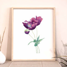 Load image into Gallery viewer, The Purple Garden Poppy Art Print