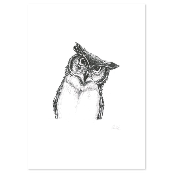 Owlet by Lor Art Print