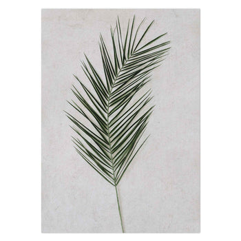 Palm Leaf II by Sonjé Art Print