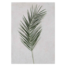 Load image into Gallery viewer, Palm Leaf II by Sonjé Art Print