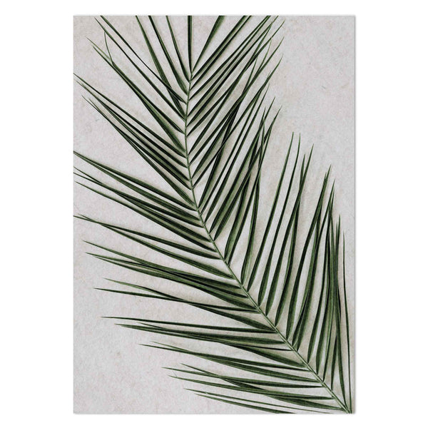 Palm Leaf by Sonjé Art Print
