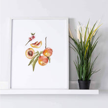 Load image into Gallery viewer, Apricot Art Print