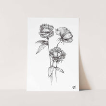 Load image into Gallery viewer, Peonies by Jenna Art Print