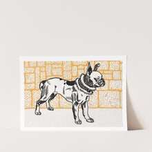 Load image into Gallery viewer, Pitbull Terrier (1912) by Moriz Jung Art Print
