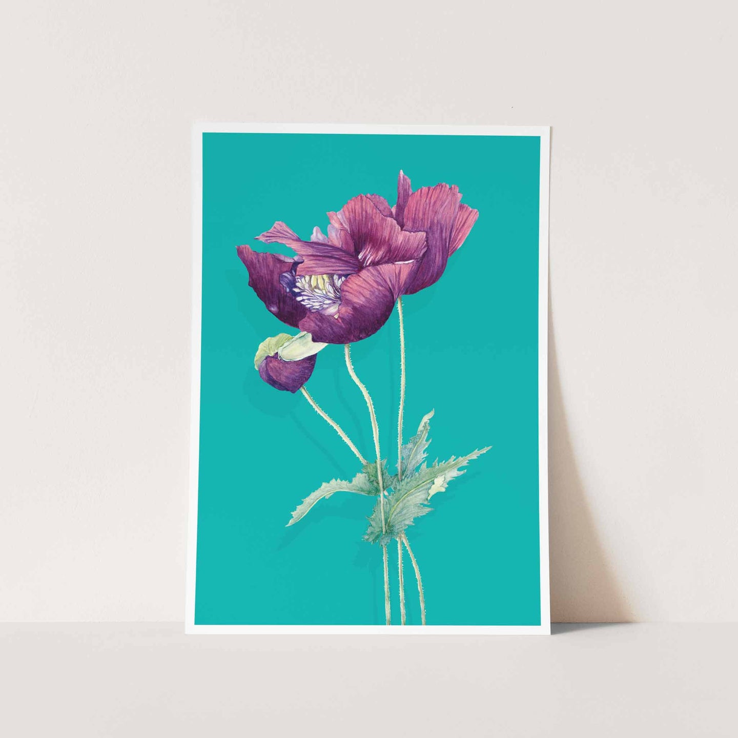 Poppy on Turquoise Art Print