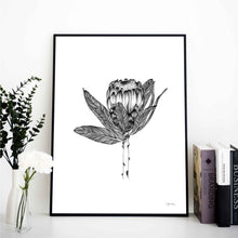 Load image into Gallery viewer, Protea by JMB Art Print